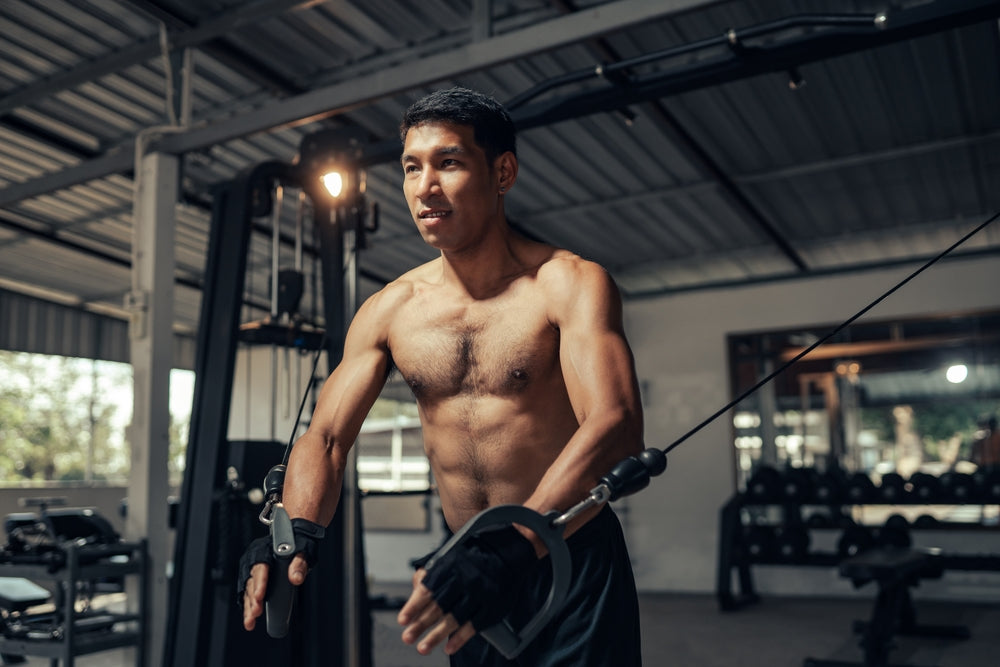 Brusttraining