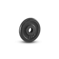 Hantelscheibe 30mm Guss 2,5 kg