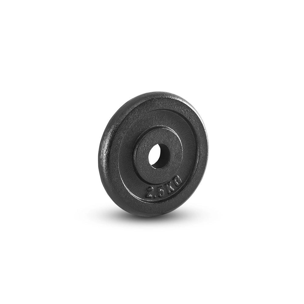 Hantelscheibe 30mm Guss 2,5 kg