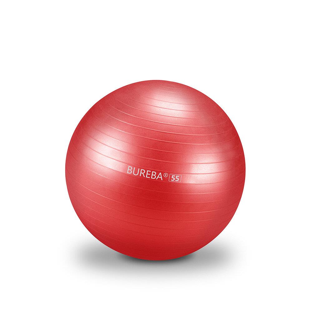 Gymnastikball Professional - 55 cm rot