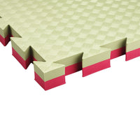 Kampfsportmatte Judo 100 x 100 x 4 cm Ecke grün rot