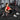 Krafttraining für Frauen