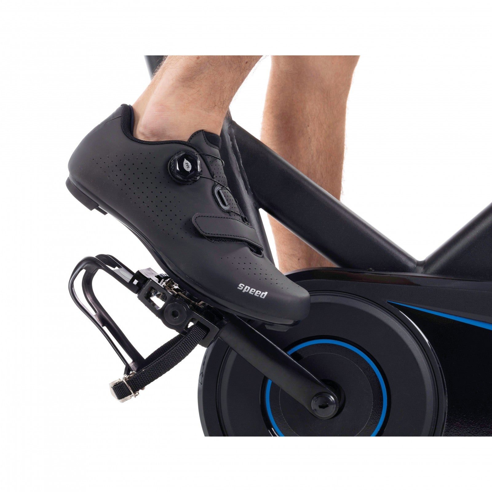 spinning bike klickpedale Horizon Indoor Bike 5.0IC – motion sports