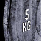 ATX® Color Fade Bumper Plates perfekter Farbverlauf