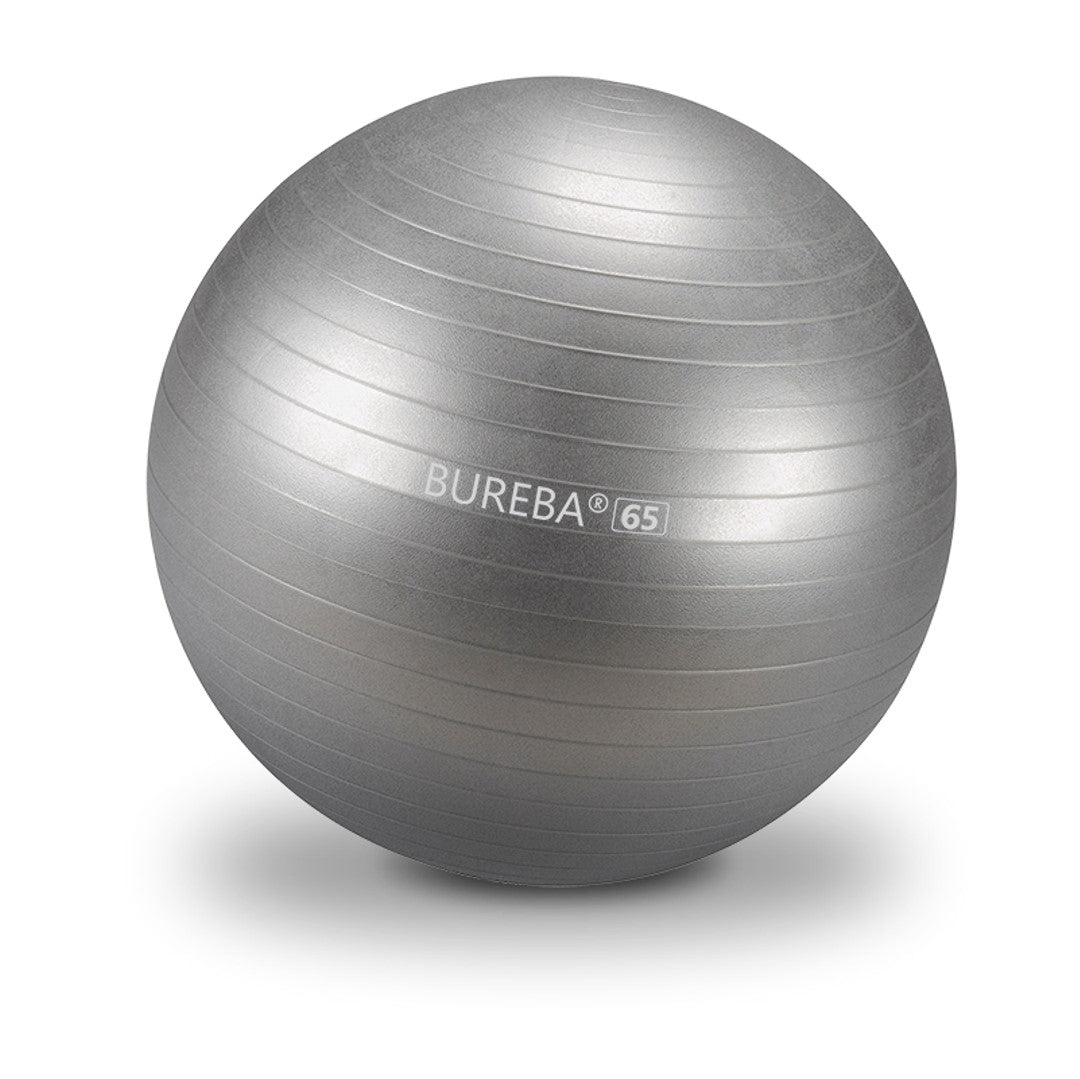 Gymnastikball Professional 65 cm silbergrau