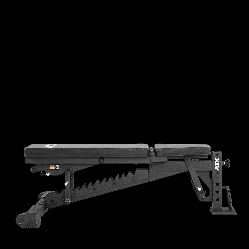 ATX® Multi Bench Ultimate Animation