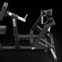 ATX® Rücken - Rudergerät - Back-Contractor unilateral