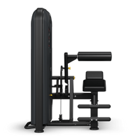 Abdominal / Lower Back Machine - front