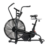 Assault Air Bike Classic