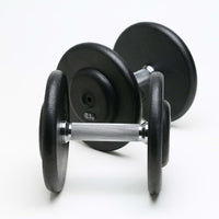 CHD Kompakthanteln Guss in 2,5 Steigung 12.5kg Detail