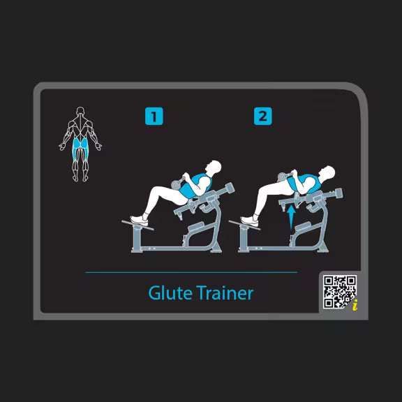 Glute Trainer - Vision Fitness