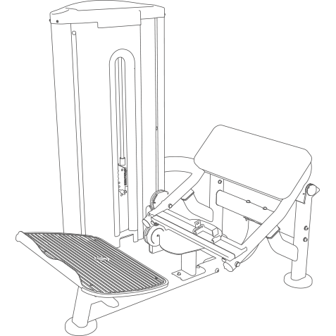Hip Thrust Machine - BH Fitness