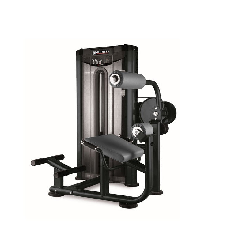 BH Fitness L510B Back Extension Bench – specifically strengthen your ...