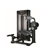 Rückenmaschine (Lower Back Machine) - BH Fitness