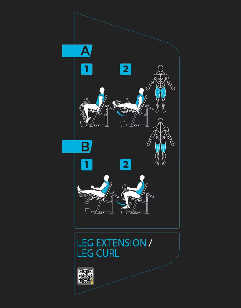 Leg Extension / Curl Machine Stack Weight - Vision Fitness