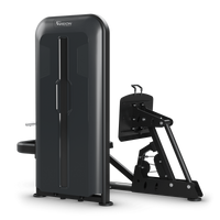 Leg Press Stack Weight Rückseite