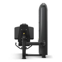 Leg Press Stack Weight hinten