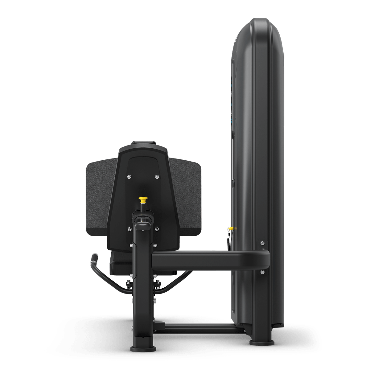Leg Press Stack Weight hinten