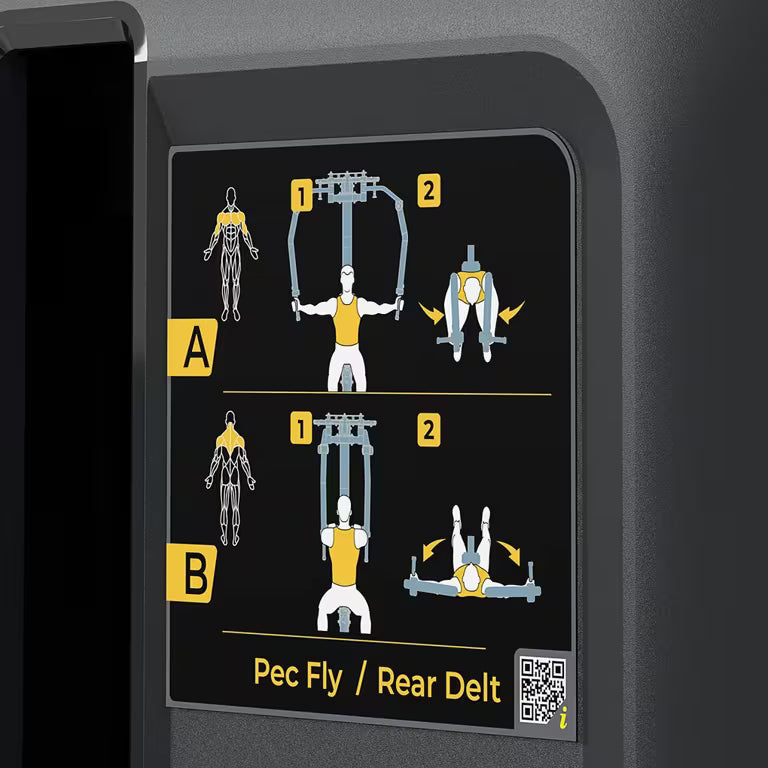 Pec Fly / Rear Delt - Vision Fitness