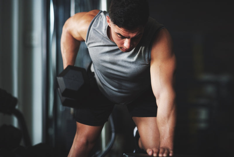 Kurzhanteltraining – vielseitiges Krafttraining mit freien Gewichten