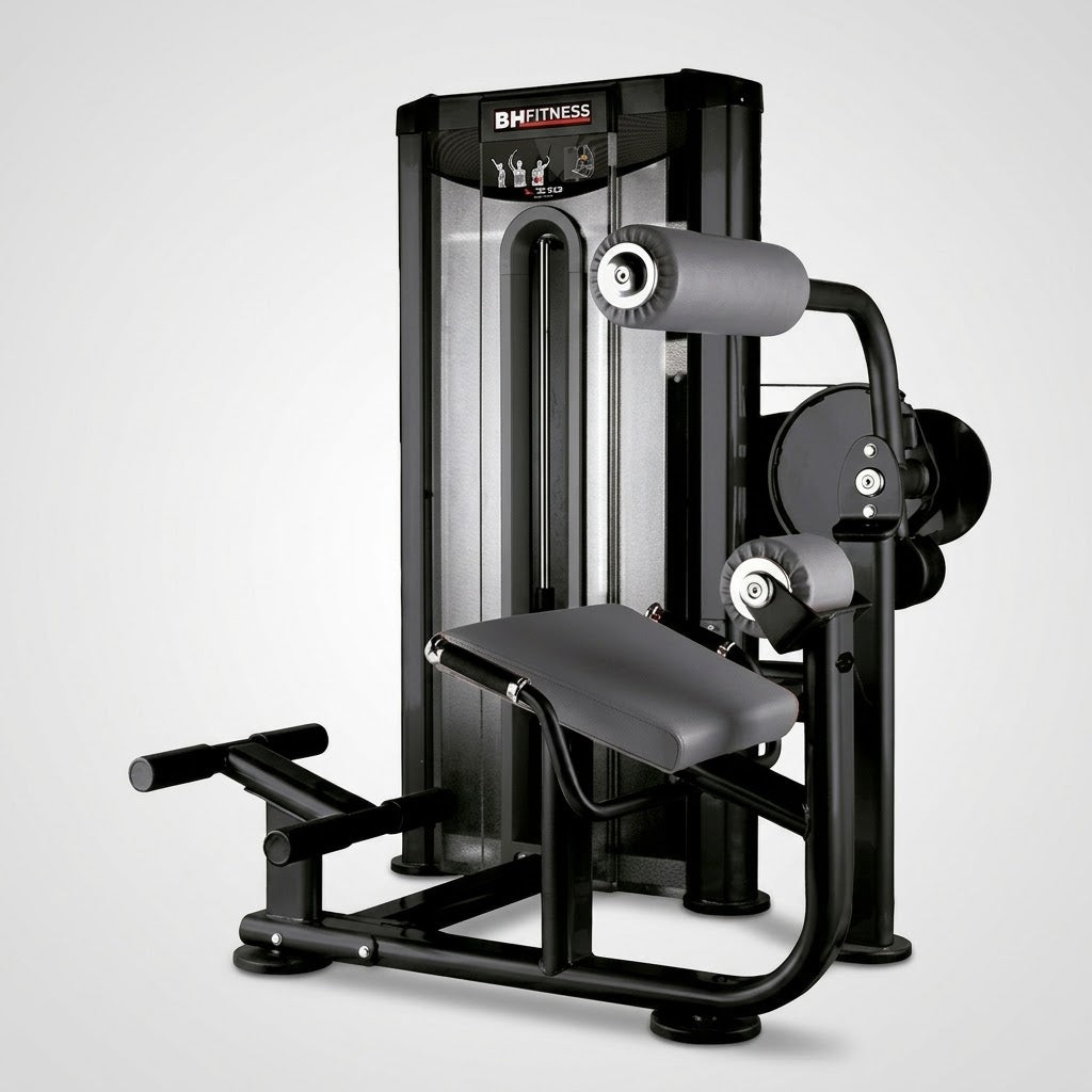 Ruckenmaschine Lower Back Machine -BH Fitness