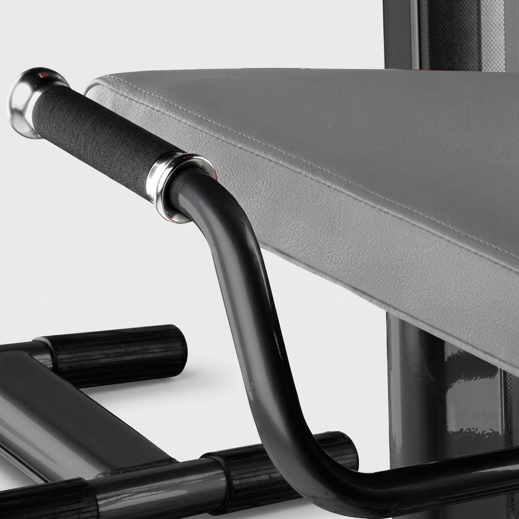 Ruckenmaschine Lower Back Machine Griff - BH Fitness