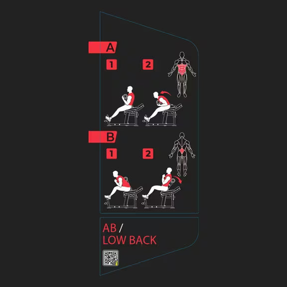 Abdominal / Lower Back Machine Stack Weight - Vision Fitness
