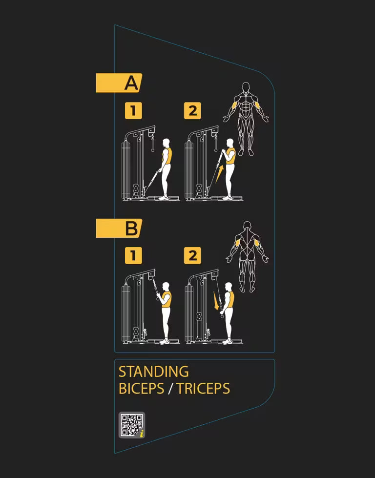 Biceps / Triceps Machine Standing Stack Weight - Vision Fitness