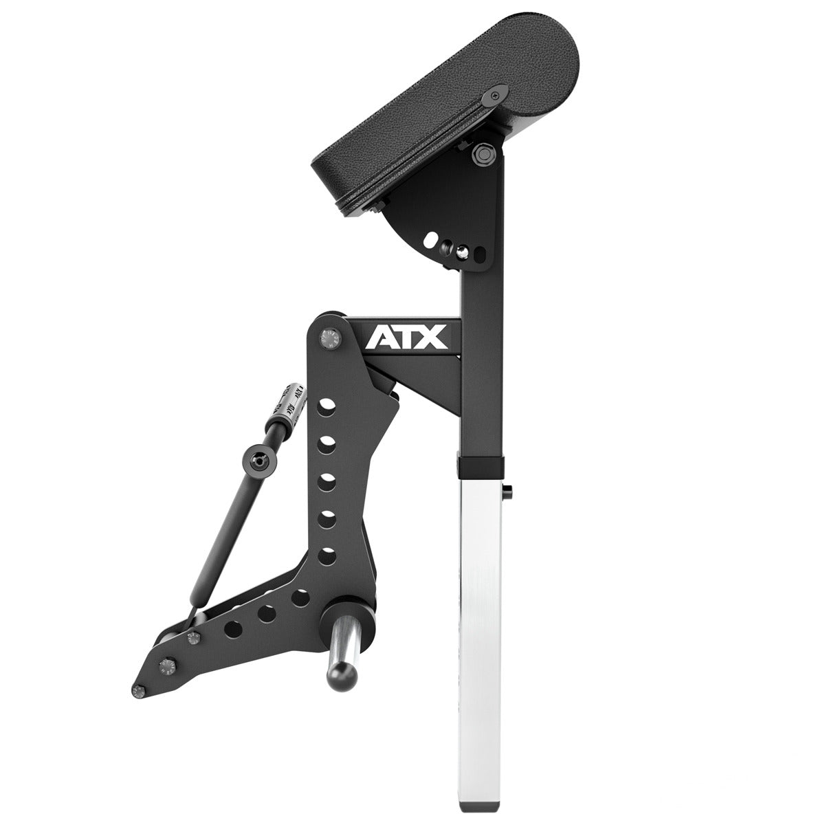 ATX® Bizeps Curl Maschine - Option