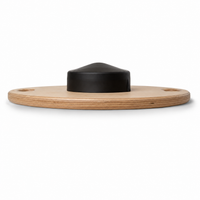 Balance Board Therapiekreisel Ansicht unten