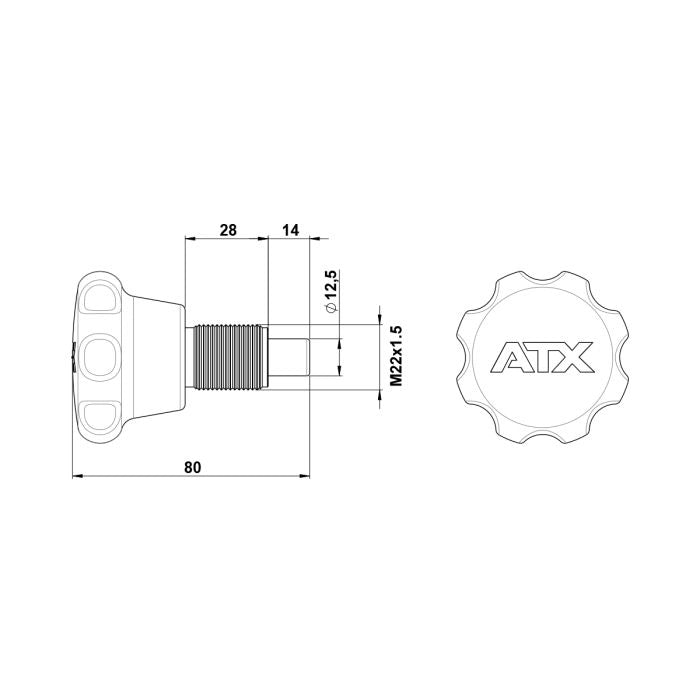 ATX® Rastbolzen