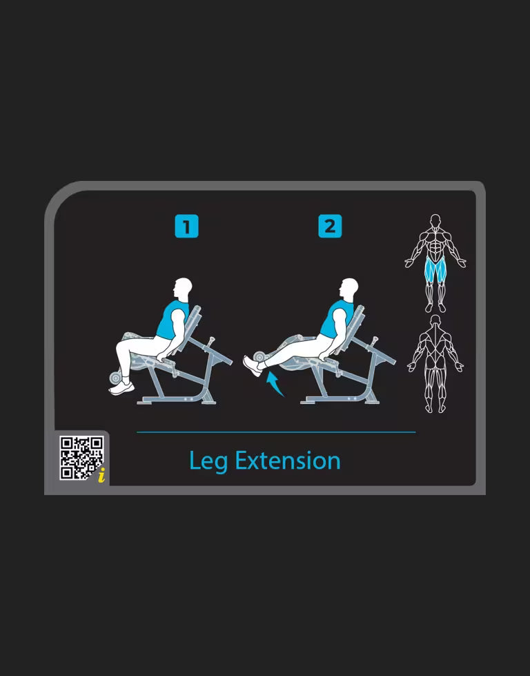Leg Extension - Vision Fitness