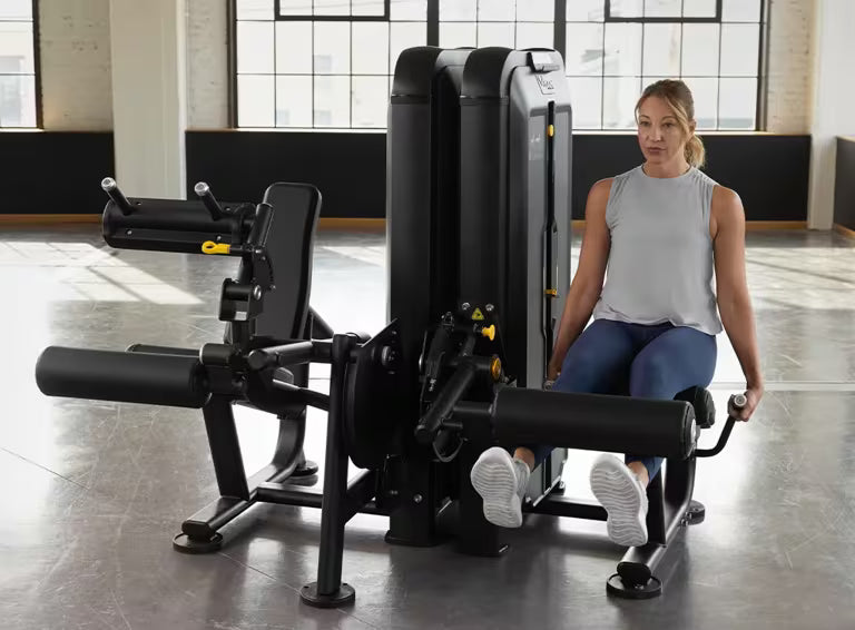 Leg Extension - Vision Fitness