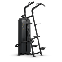 Dip / Klimmzug Maschine Stack Weight - Vision Fitness