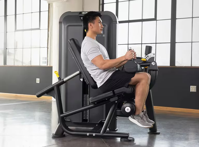 Leg Curl - Vision Fitness